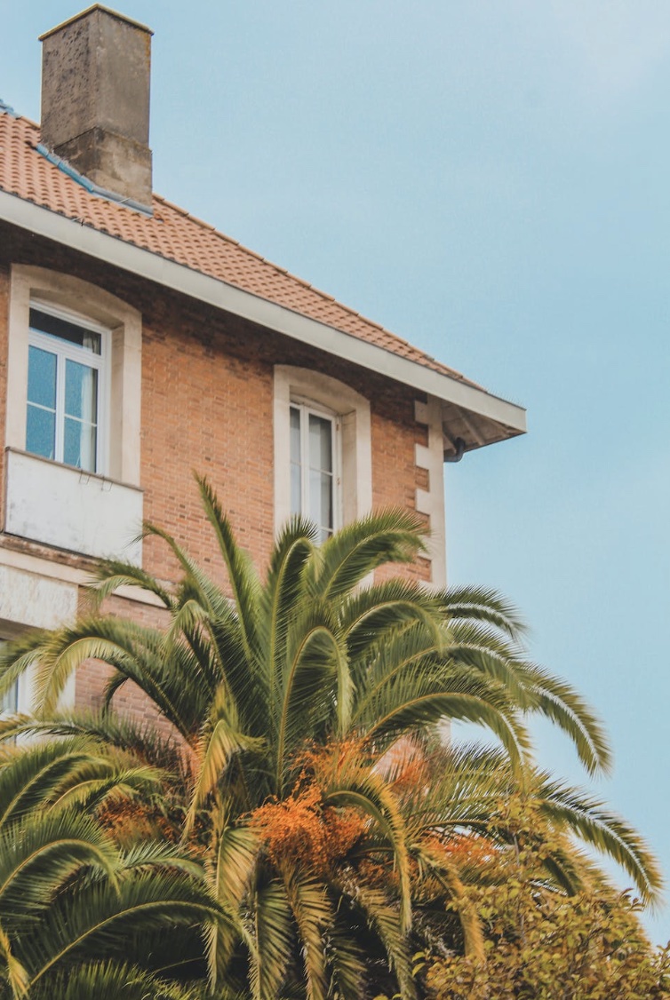 Palm trees swaying in the fall breeze